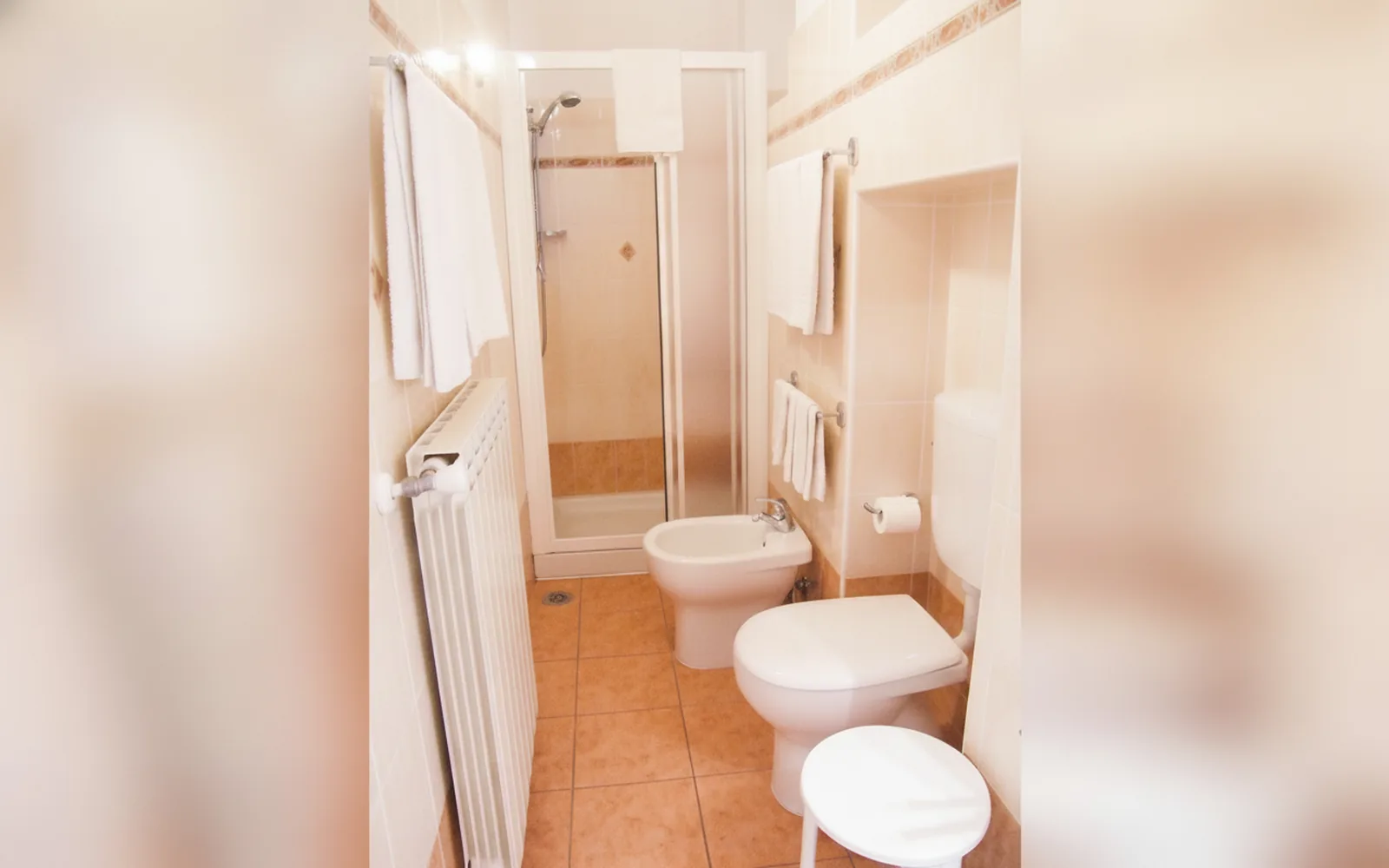 Camera con bagno privato — Hotel Alba, Torino (Piemonte) (foto 113)